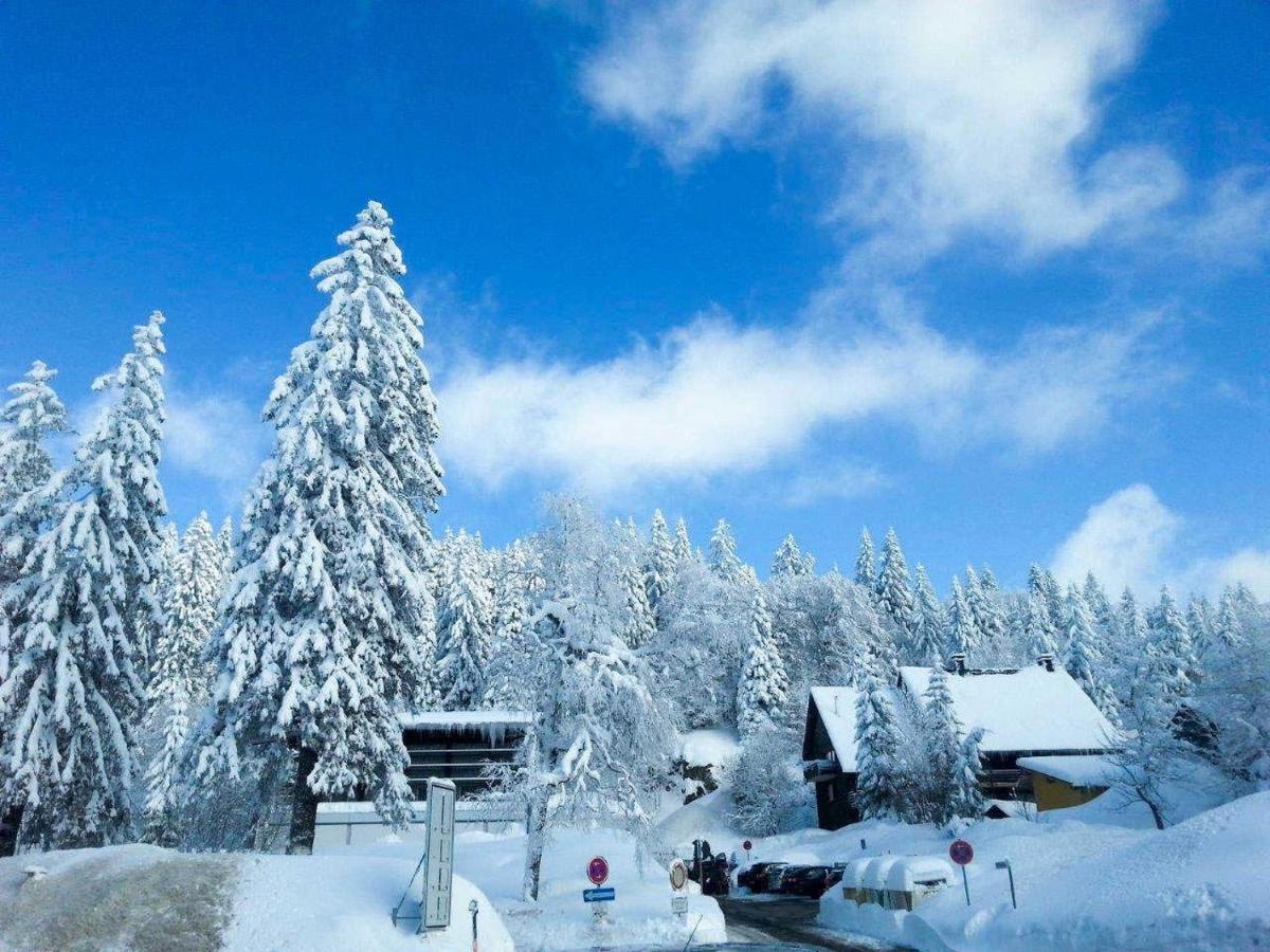 H&P Touristik Residenz Grafenmatt Gra-3-1 Apartment Feldberg  Bagian luar foto